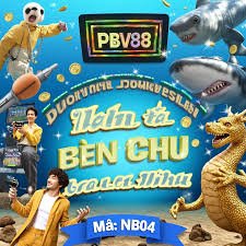 bjd33